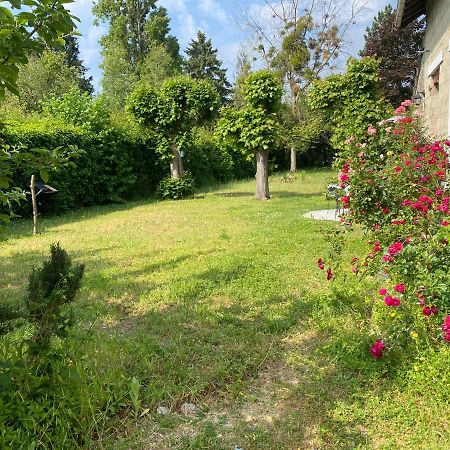 Studio Epicea Avec Jardin Dans Charmante Propriete Méry-sur-Oise Dış mekan fotoğraf
