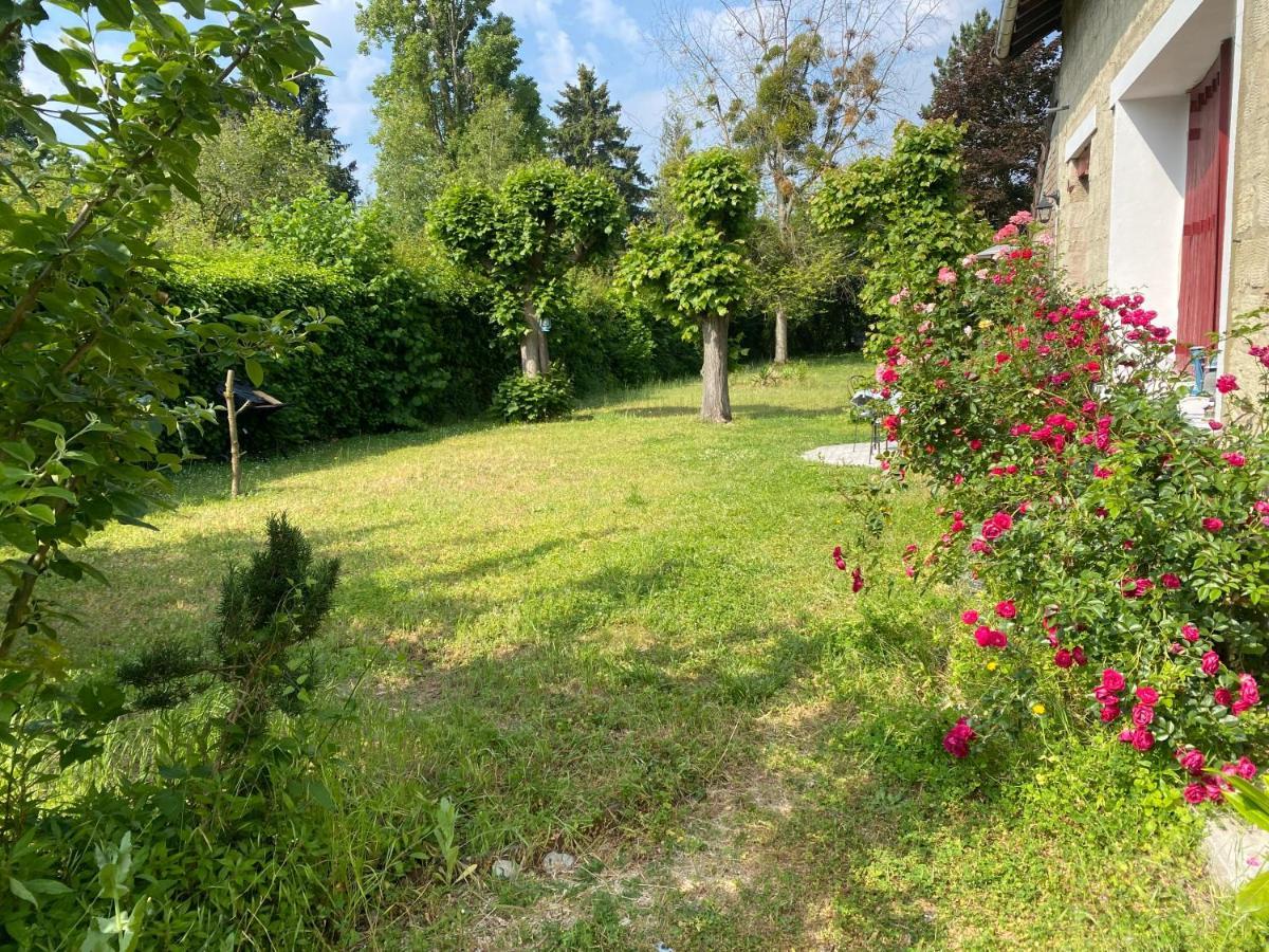 Studio Epicea Avec Jardin Dans Charmante Propriete Méry-sur-Oise Dış mekan fotoğraf